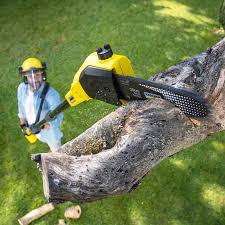 Mulching Services in Burkesville, KY