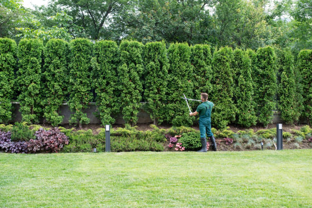 Best Commercial Tree Services  in Burkesville, KY